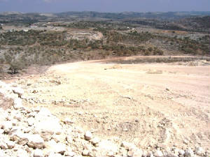 bilin5aug2005174x.jpg